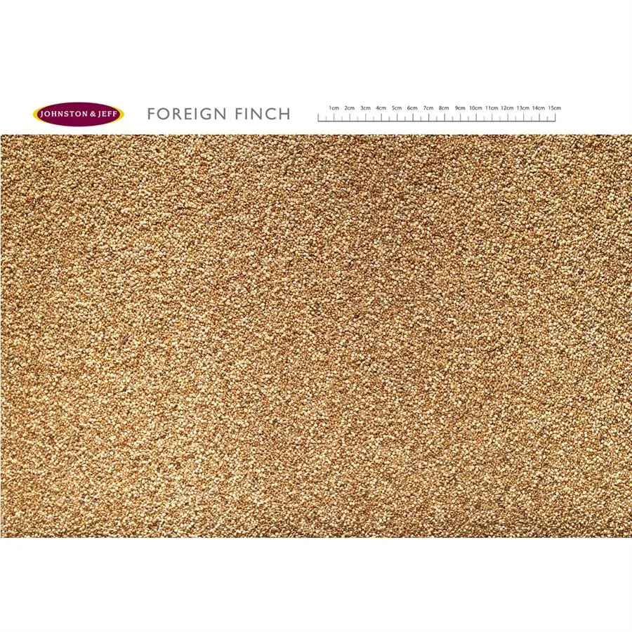 Johnston & Jeff Foreign Finch