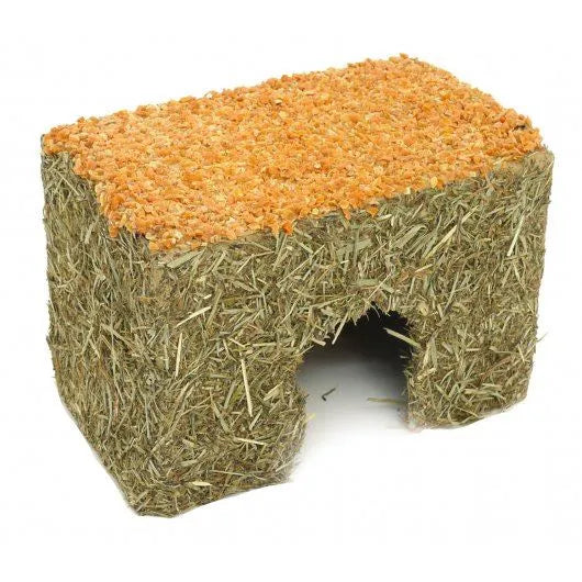 Naturals Edible Carrot Cottage Sml 15x9x10cm