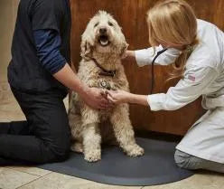 Wellness Therapeutic Pet Mat Rounded Grey (114x76cm)