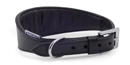 Heritage Leather Padded Greyhound Collar Black