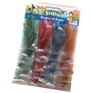 Supa Ferns Single Mxd Colours Standard